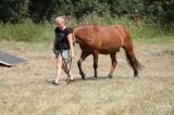 20180804143525_5G6H5535: Foto: V Čestíně na hřišti sehrál hlavní roli kůň, důležité bylo i umění jezdců