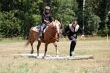20180804143534_5G6H5701: Foto: V Čestíně na hřišti sehrál hlavní roli kůň, důležité bylo i umění jezdců