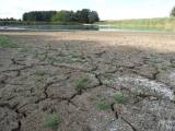 20180814220052_31: Foto, video: Letošní sucho výrazně postihlo také čáslavský rybník Jirsák