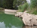 20180814220054_DSCN7178: Foto, video: Letošní sucho výrazně postihlo také čáslavský rybník Jirsák