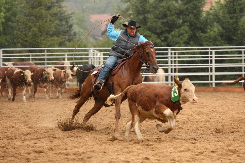 Foto: Na ranči Dalu v sobotním rodeu svištěla nad dobytkem lasa