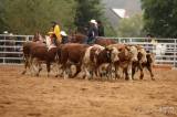 20180901135756_5G6H3492: Foto: Na ranči Dalu v sobotním rodeu svištěla nad dobytkem lasa