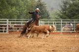 20180901135759_5G6H3531: Foto: Na ranči Dalu v sobotním rodeu svištěla nad dobytkem lasa