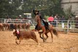 20180901135801_5G6H3592: Foto: Na ranči Dalu v sobotním rodeu svištěla nad dobytkem lasa