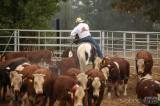 20180901135802_5G6H3635: Foto: Na ranči Dalu v sobotním rodeu svištěla nad dobytkem lasa