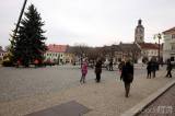 20181120112329_5G6H7339: Foto, video: Palackého náměstí v Kutné Hoře zdobí stříbrný smrk ze Žižkova