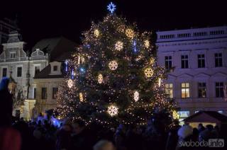 Kolínský vánoční strom pokácí v Polepech