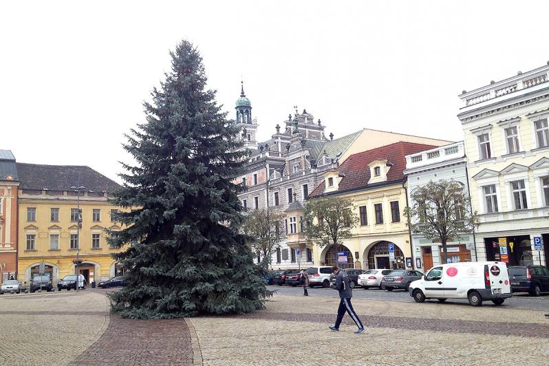 Kolínský strom byl usazen, vánoční výzdoba vyjde letos město na 300 tisíc korun
