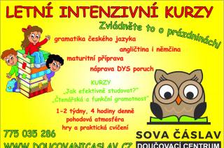 TIP: Letní intenzivní doučování a kurzy v ČÁSLAVSKÉ SOVĚ