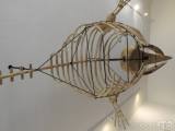 20190225172939_8: V malešovském muzeu můžete vidět kostru velryby