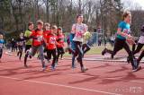 20190320115517_DSC_5941: Závodníci kutnohorského atletického oddílu vyrazili na přespolní běh do Čáslavi