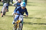ah1b1157: Foto: Konárovický kořen prověřil cyklistické dovednosti celé rodiny