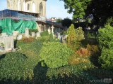 341: NÁZOR: Pohled na stav kutnohorských hřbitovů vyvolává smutek
