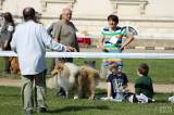 20190525102239_IMG_9693: Foto: Zámek Kačina hostil tradiční Oblastní výstavu psů