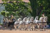 20190527212156_8R2A6667: V Národním hřebčíně Kladruby nad Labem se uskutečnil „Den starokladrubského koně“