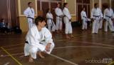 20190613095543_VAKA_kara860: VAKADO na semináři karate v Čáslavi