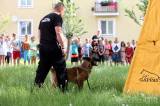 20190618111900_5G6H5937: Foto: Děti ze ZŠ T.G. Masaryka obdivovaly výcvik policejních psů