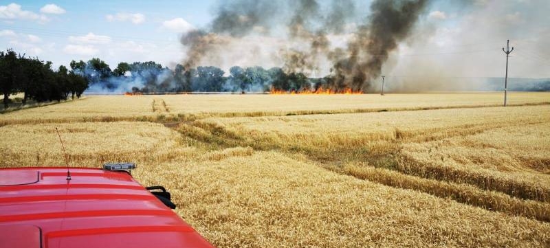 Hasičské jednotky likvidovaly požár pole u obce Bojmany
