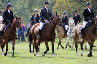 Krásu ušlechtilých koní představí sobotní Jezdecké slavnosti na Kačině