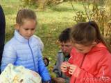20191020123525_DSCN8948: Foto, video:  Mezinárodní den archeologie v Čáslavi zaujal hlavně děti