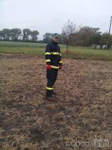 12088315_156946514653805_6305922677462035789_n: Foto: Ztraceného seniora ve středu hledali také hasiči z obcí na Kolínsku