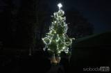 20191130191310_5G6H6150: Foto: Andělíčci ve Zbraslavicích v sobotu rozsvítili vánoční strom