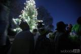 20191130191310_5G6H6158: Foto: Andělíčci ve Zbraslavicích v sobotu rozsvítili vánoční strom