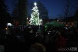 20191130191310_5G6H6173: Foto: Andělíčci ve Zbraslavicích v sobotu rozsvítili vánoční strom