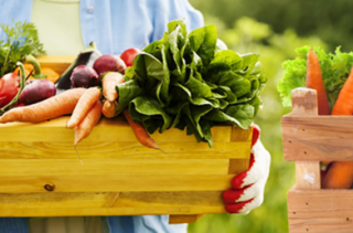 TIP: Nová služba v Kutné Hoře a okolí – rozvoz zeleniny a ovoce zdarma až k Vám domů!