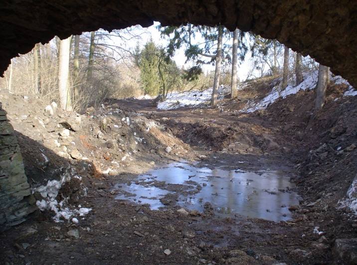 Foto, video: Před deseti lety vybagrovali v Čáslavi rybník Homolku