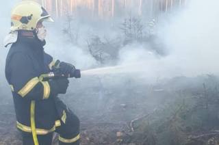 Hasiči opět v akci! V Třebětíně na Kutnohorsku hořel les 