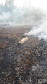 20200407195436_92061799_2998341016929707_6944068163139010560_n: Hasiči opět v akci! V Třebětíně na Kutnohorsku hořel les 