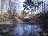 20200421210036_DSC01352: Foto, video: Před deseti lety vybagrovali v Čáslavi rybník Homolku