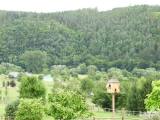 20200720232252_DSCN3592: Foto: Přívlacká mušle na Kutnohorsku je evropská rarita!