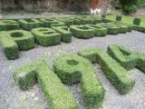 20200907002725_DSCN5078: Foto: První ročník akce „Dvorky 2020“ otevřel také zahrady zámku Třebešice