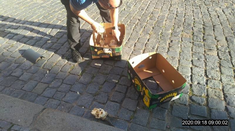 Policisté našli Na Hradbách v Kolíně vysypané krabice s lebkami zvířat