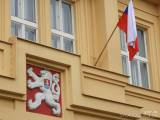 20201029144318_DSCN6878: Vlajky "naděje" zavlály nad Čáslaví