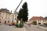 20201110143045_5G6H8492: Letošní vánoční strom pro Kutnou Horu pochází ze Sedlce!
