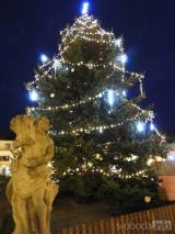 20201129194308_15: Vánočního strom Čáslavští rozsvítili světelným spínačem