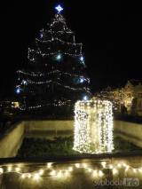 20201129194310_42: Vánočního strom Čáslavští rozsvítili světelným spínačem
