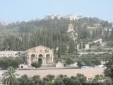 20210215143851_hav467: Z Čáslavi do Jeruzaléma za záhadou 300 let starého žebříku
