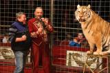 Foto: Cirkus Jo Joo hostoval v Kutné Hoře, v Kolíně nyní pokřtí mladé pumy