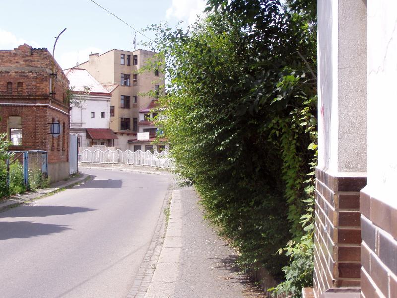 Občanovi Čáslavi se nelíbí rozrostlé živé ploty, jejich stříhání zahájí radnice co nevidět 