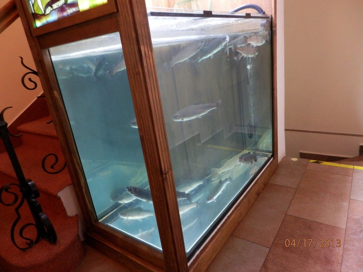 Restaurace hotelu Svatý Hubert ve Zbraslavicích vám přípraví pstruha přímo z vlastního akvária