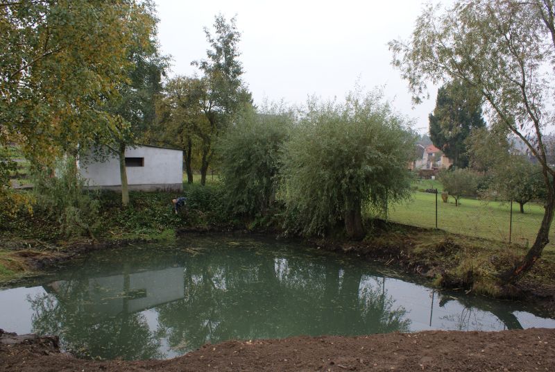 Rada pomohla dvaceti tisíci projektu na odbahnění rybníčku na Dolním Žižkově