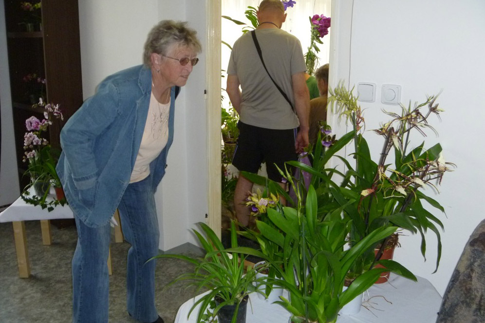 Foto: Čáslaváci obdivovali orchideje na výstavě v prostorách KC Beseda