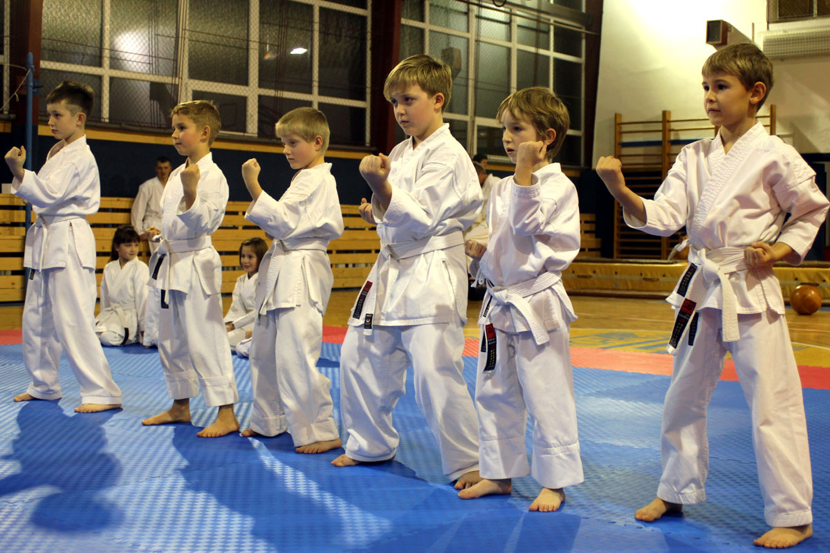 V tělocvičně Základní školy Jana Palacha si můžete vyzkoušet trénink karate