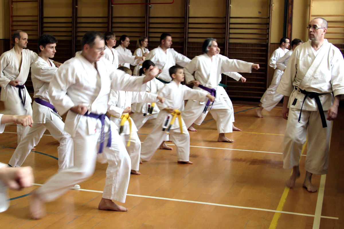 Škola Vakado měla nejsilnější zastoupení na semináři karate a taichi