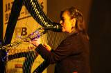 5G6H2524: Foto, video: V refektáři GASK vystoupili bubeník Donald Hay a harfenistka Mary McMaster