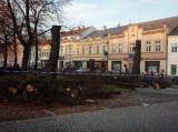 pb142685: Desítky let staré lípy v centru Čáslavi musely být pokáceny, ohrožovaly zdraví obyvatel